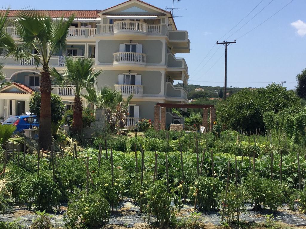 Hotel Villa Basil Tsilivi  Exterior photo