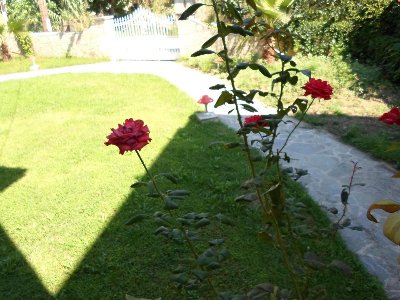 Hotel Villa Basil Tsilivi  Exterior photo